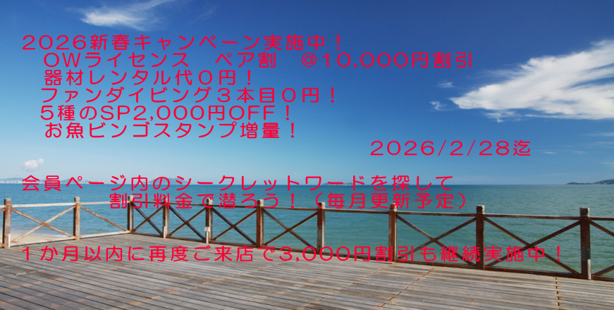 ヘッダーイメージ