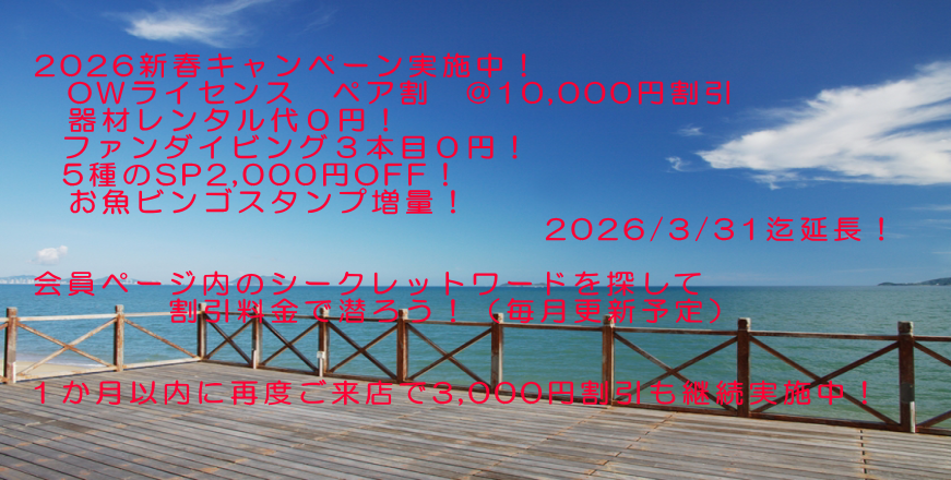 ヘッダーイメージ